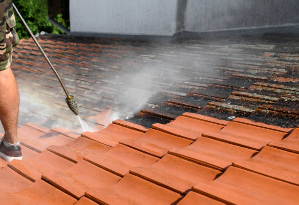 Best Roof Power Washing Services  in West Ack, NY